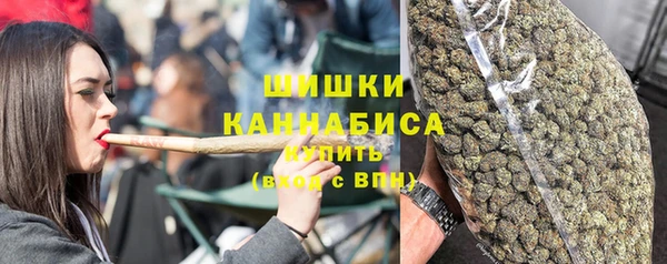 гидра Верея
