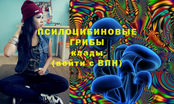 а пвп мука Верхний Тагил