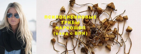 гидра Верея