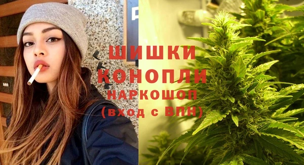 гидра Верея