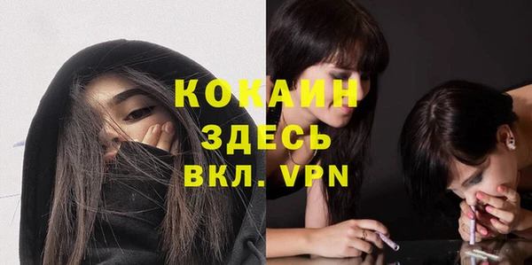 гидра Верея