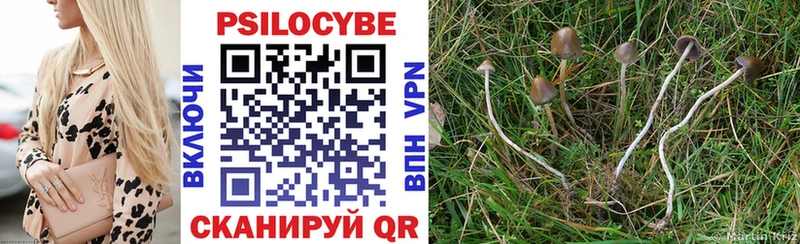 Псилоцибиновые грибы Magic Shrooms  Карталы 